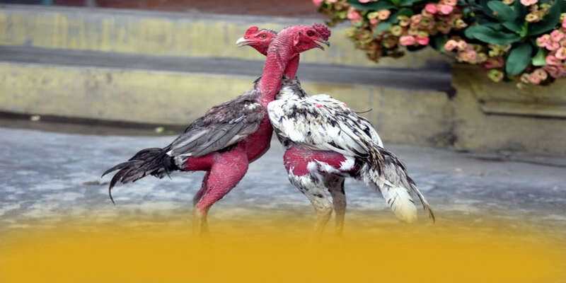 Phương thức nạp rút tiền nhanh chóng và an toàn tại [THUONG_HIEU]