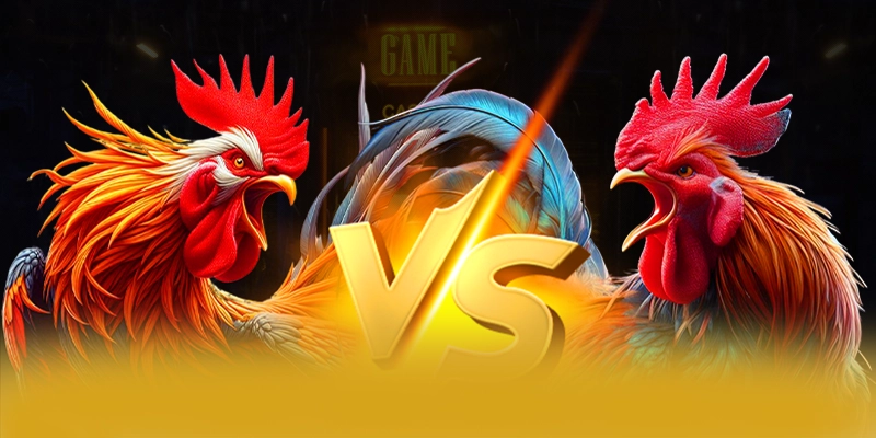 SUNWIN - Lời kết với góc nhìn khách quan.