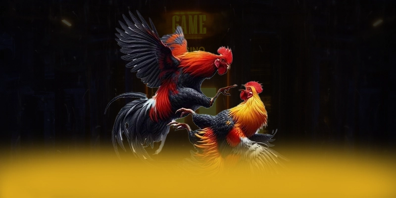 Đánh giá SUNWIN - Cổng game bài được yêu thích nhất số 1 Việt Nam